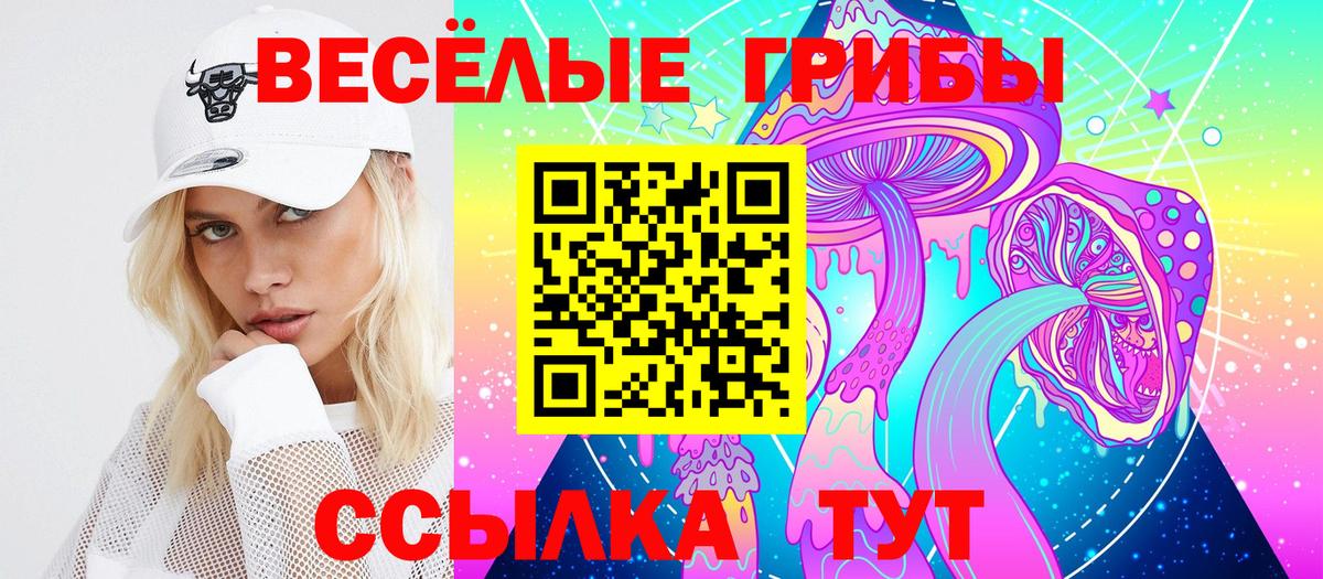 Галлюциногенные грибы ЛСД  Вход с VPN  Рузаевка 
